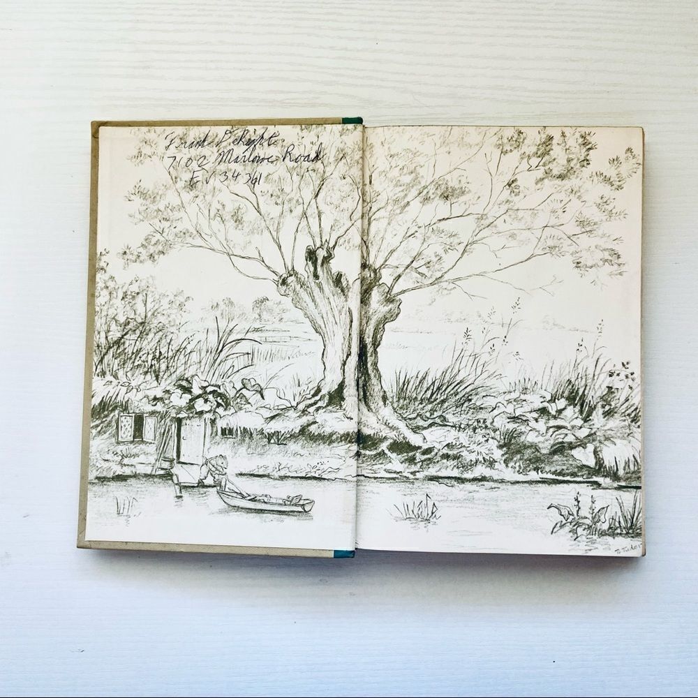 The Wind in the Willows - Vintage Edition - 1966 - Picture 4 of 5